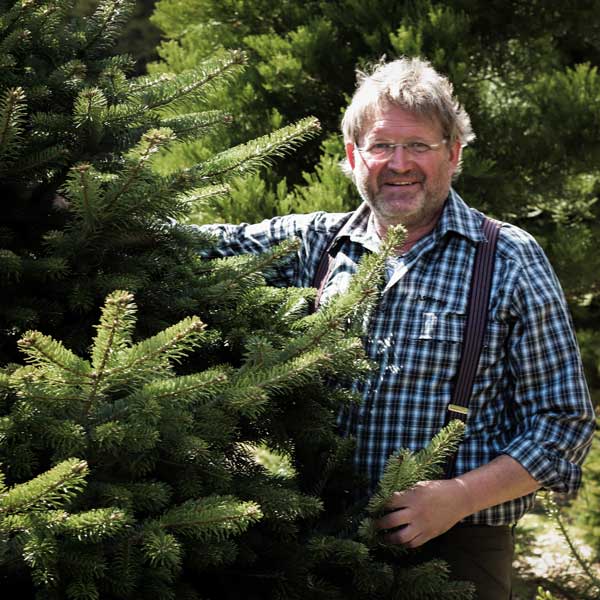Christbäume aus eigenem Anbau