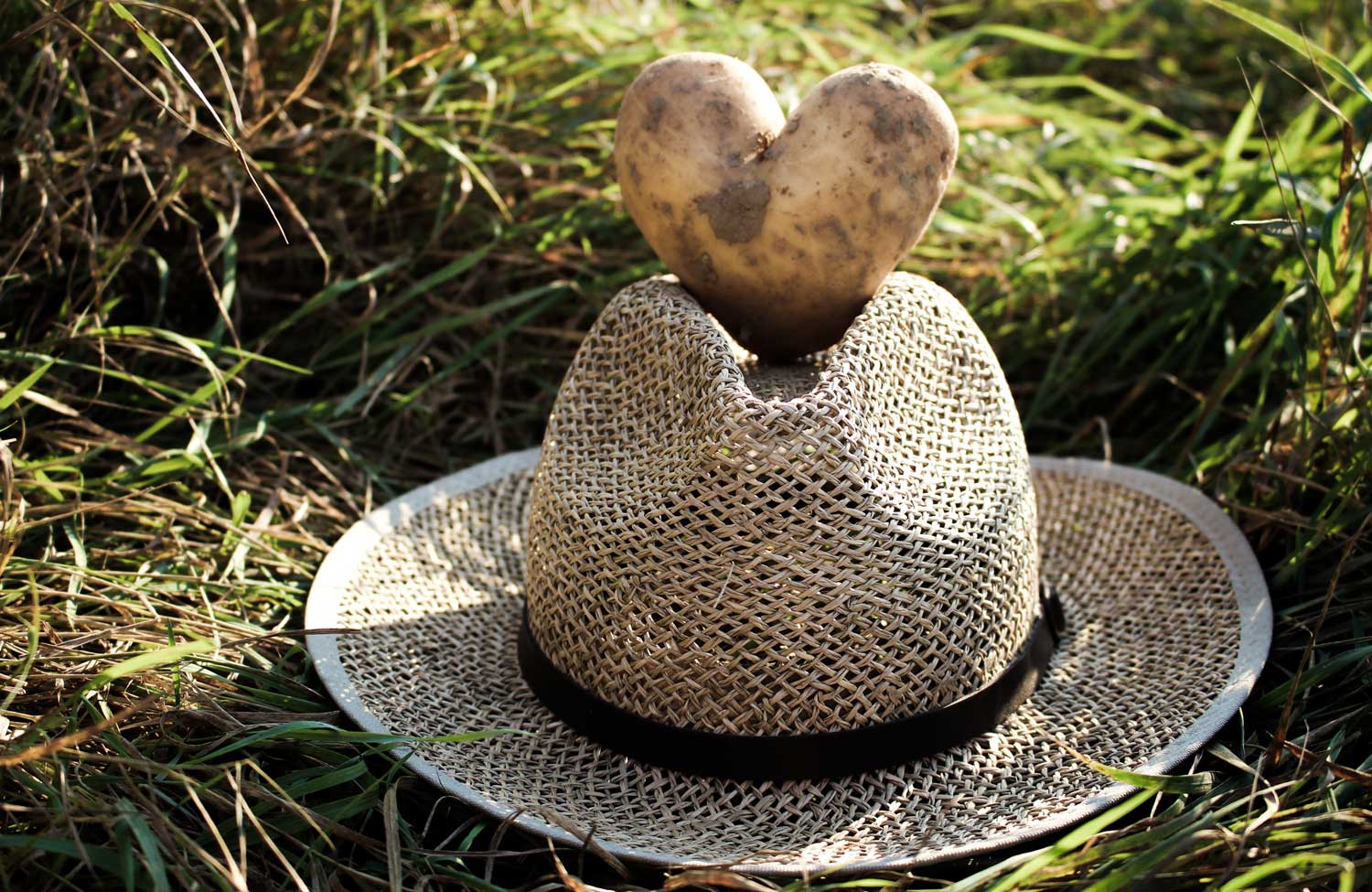 ländliche Idylle in Bayern