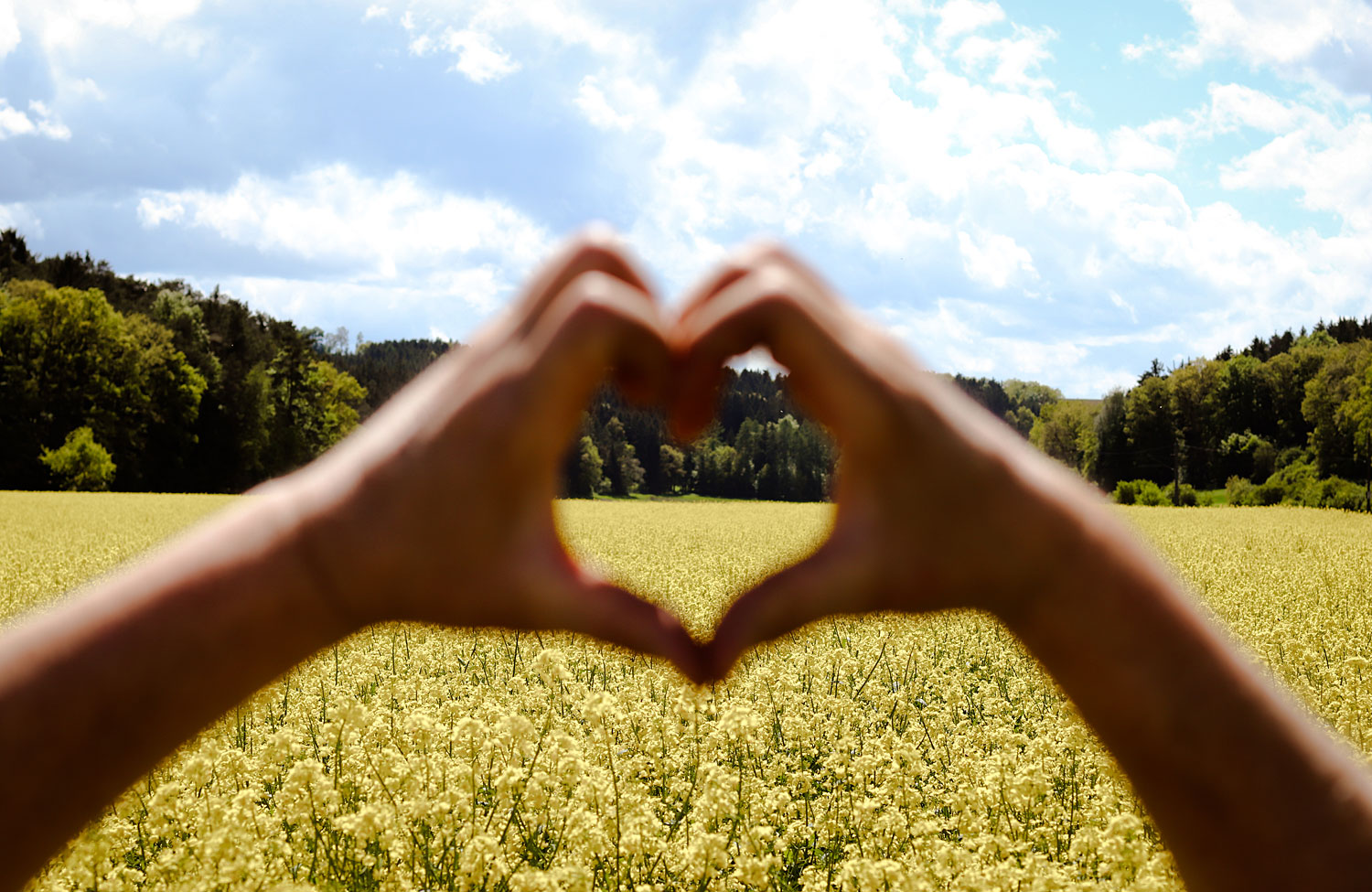 Bauernhof Carlbauer in Kelheim Hofladen bei Regensburg