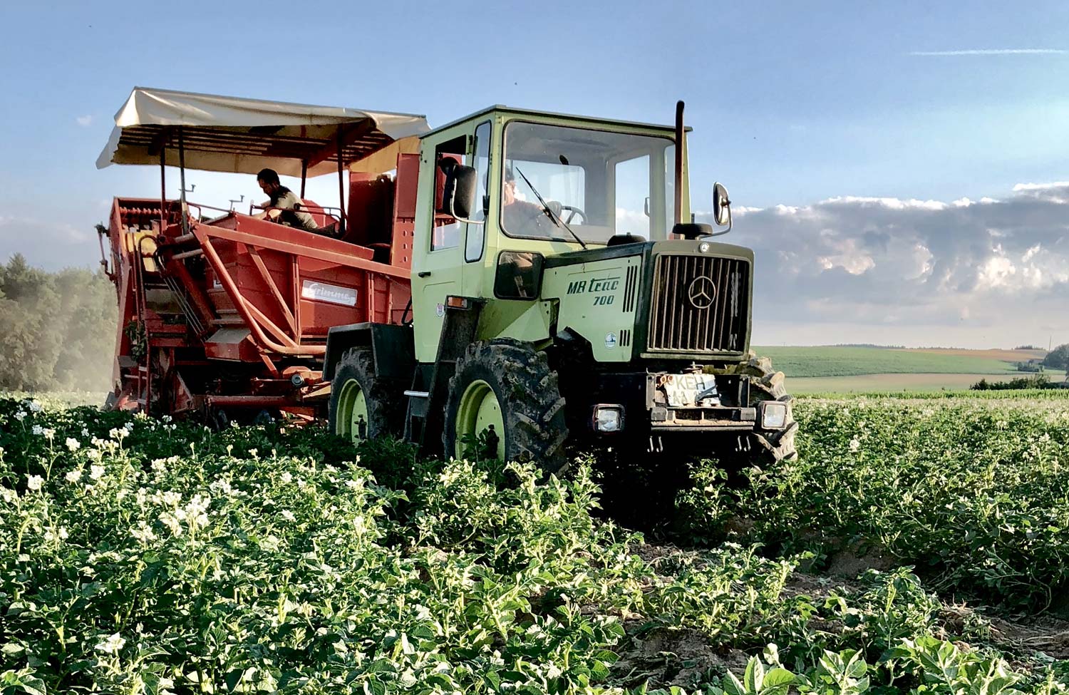 Pension und Hof Carlbauer